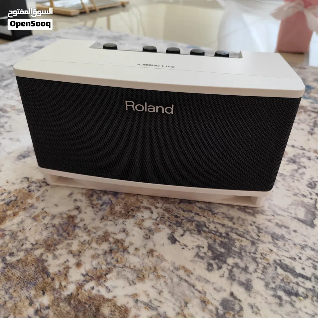Roland Cube Lite