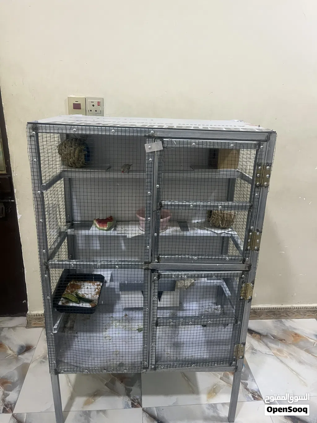 فناجس اثنين نثيه وذكر