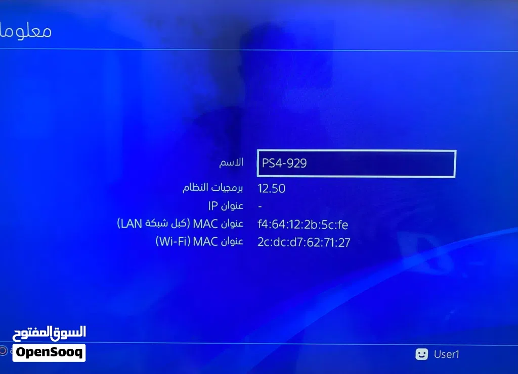 بلي فور اخو الجديد