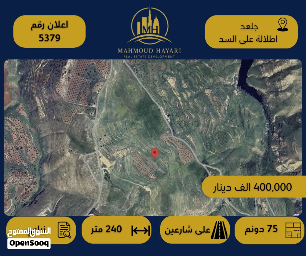 رقم الإعلان: 5379 أرض زراعية مميزة للبيع – جلعد / إطلالة مباشرة على السد
