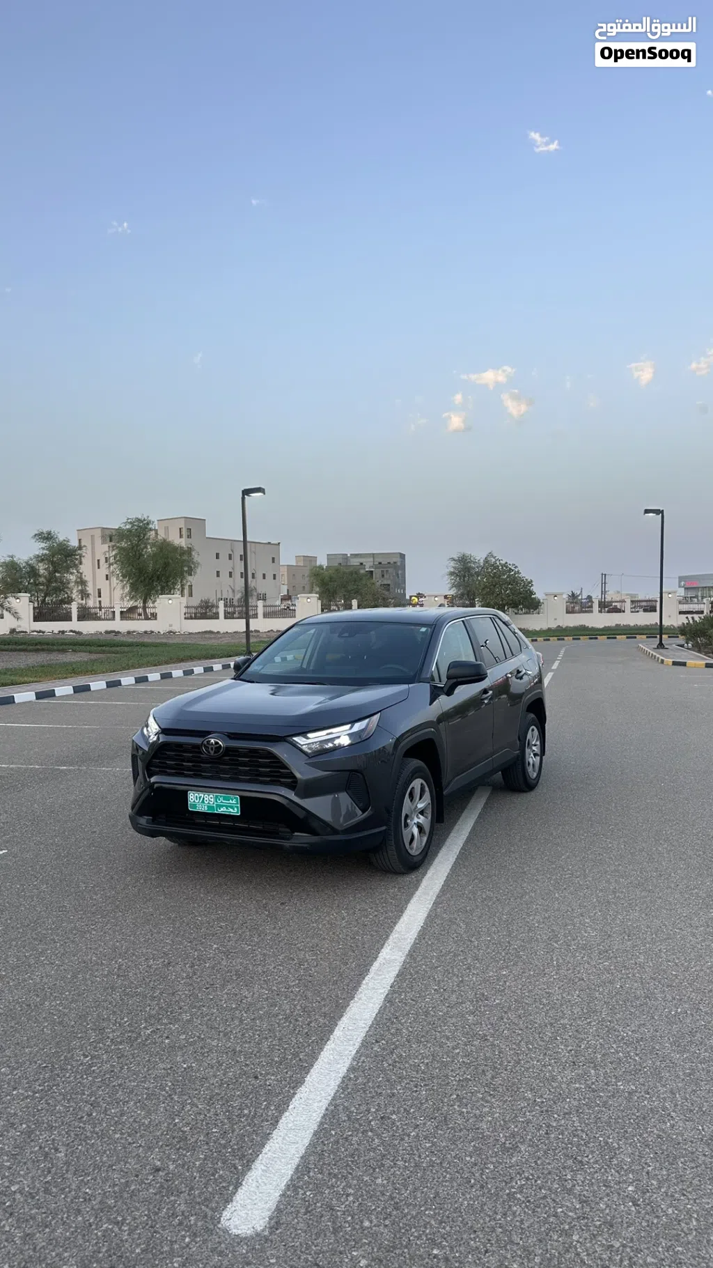Toyota RAV 4 LE