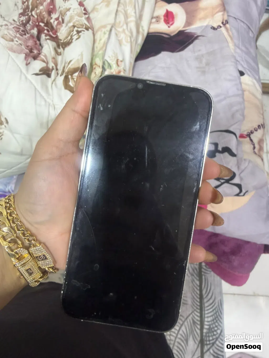 13 برو ماكس