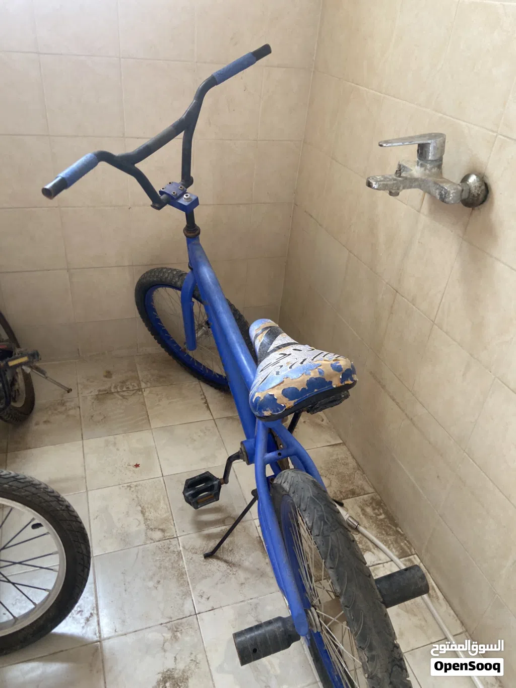 سيكل كوبرا من خارج عمان قابل للتفاوض