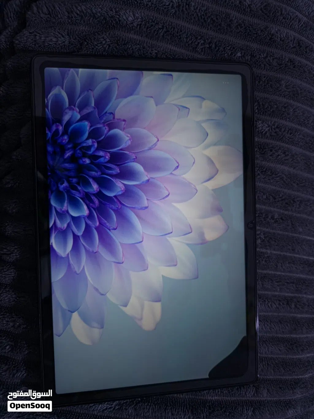 ايباد Honor X8a