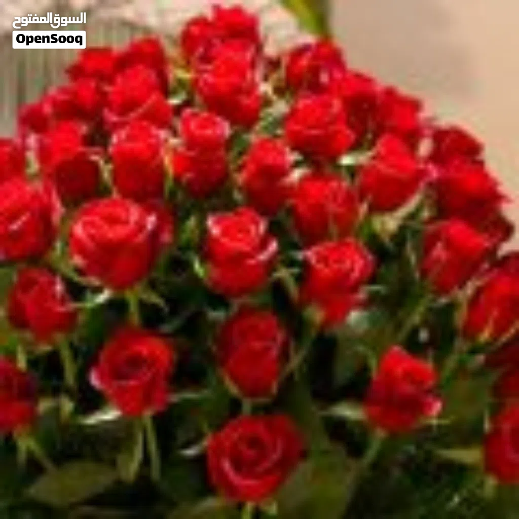 قص وتقليم اشجار