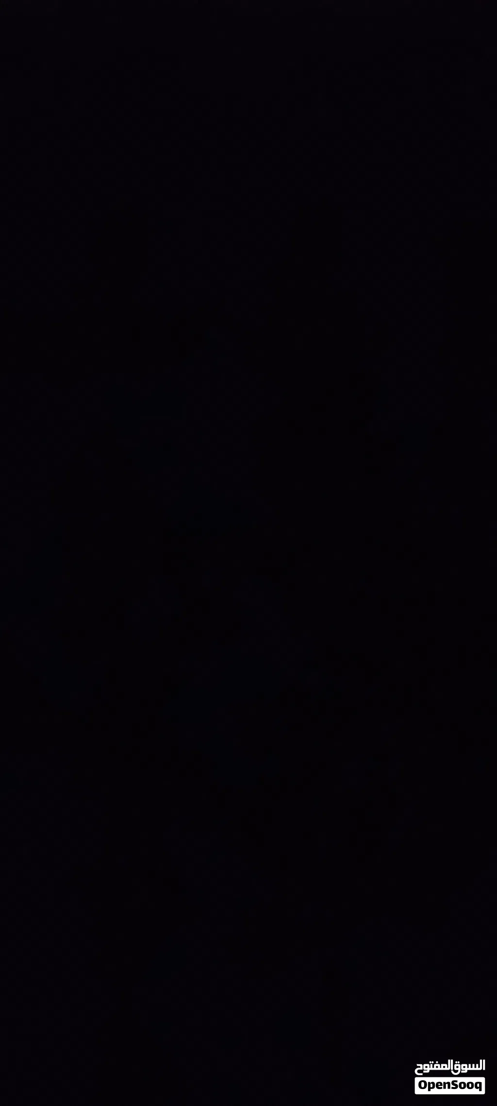 مطلوب كلب للتبني مينواه جيرمن
