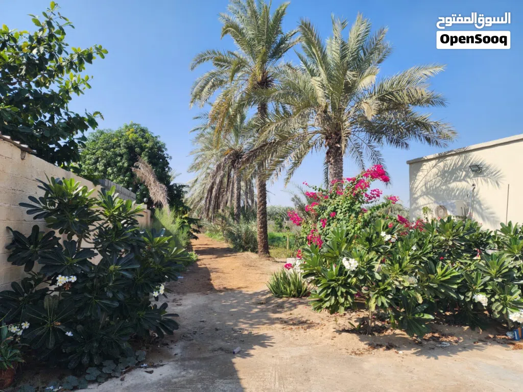 مزرعة فدان باستراحة صغيرة من المالك مباشرة وبئر ماء خاص، وكهرباء ومساحة بناء وتصريح
