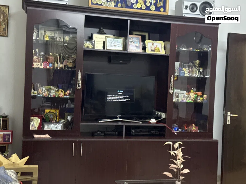 Living room display unit