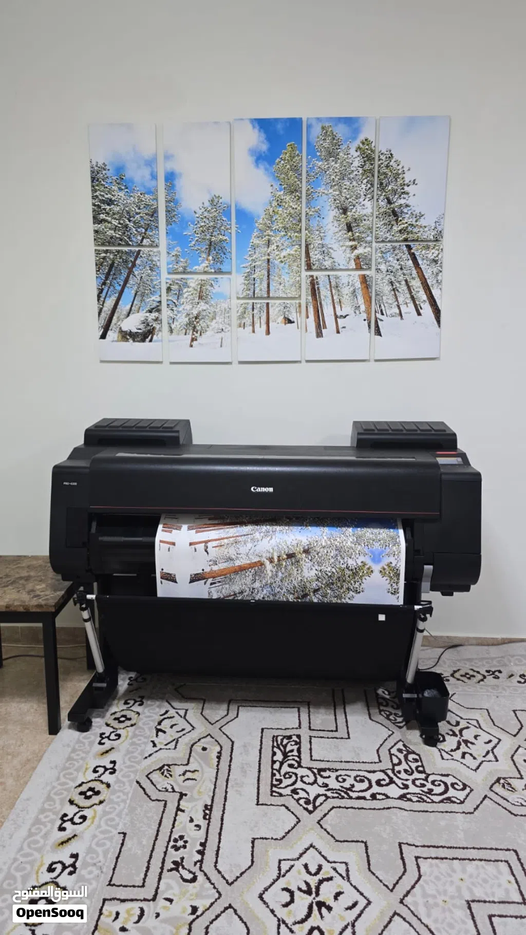 canon 4100 pro printer for sale