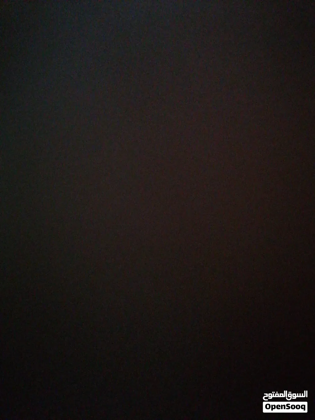 للبيع دجاجه ميواليه شنجرا.