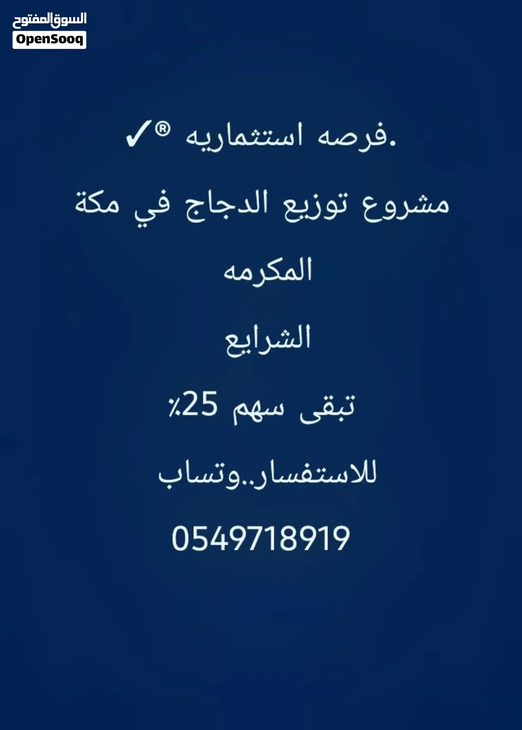 فرصه استثماريه