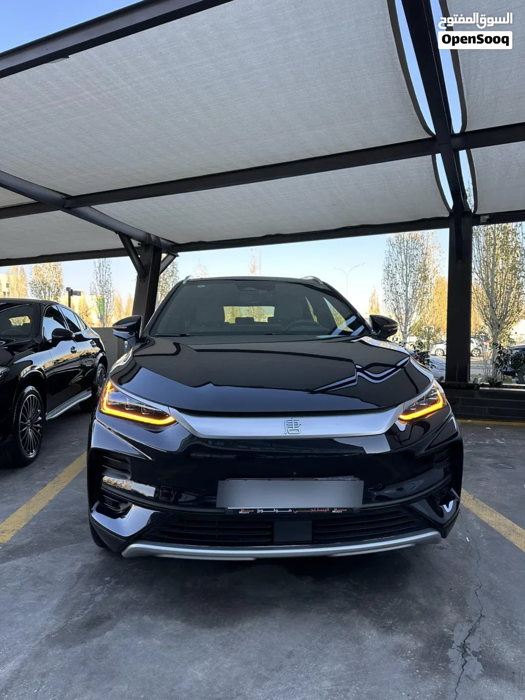 BYD Tang