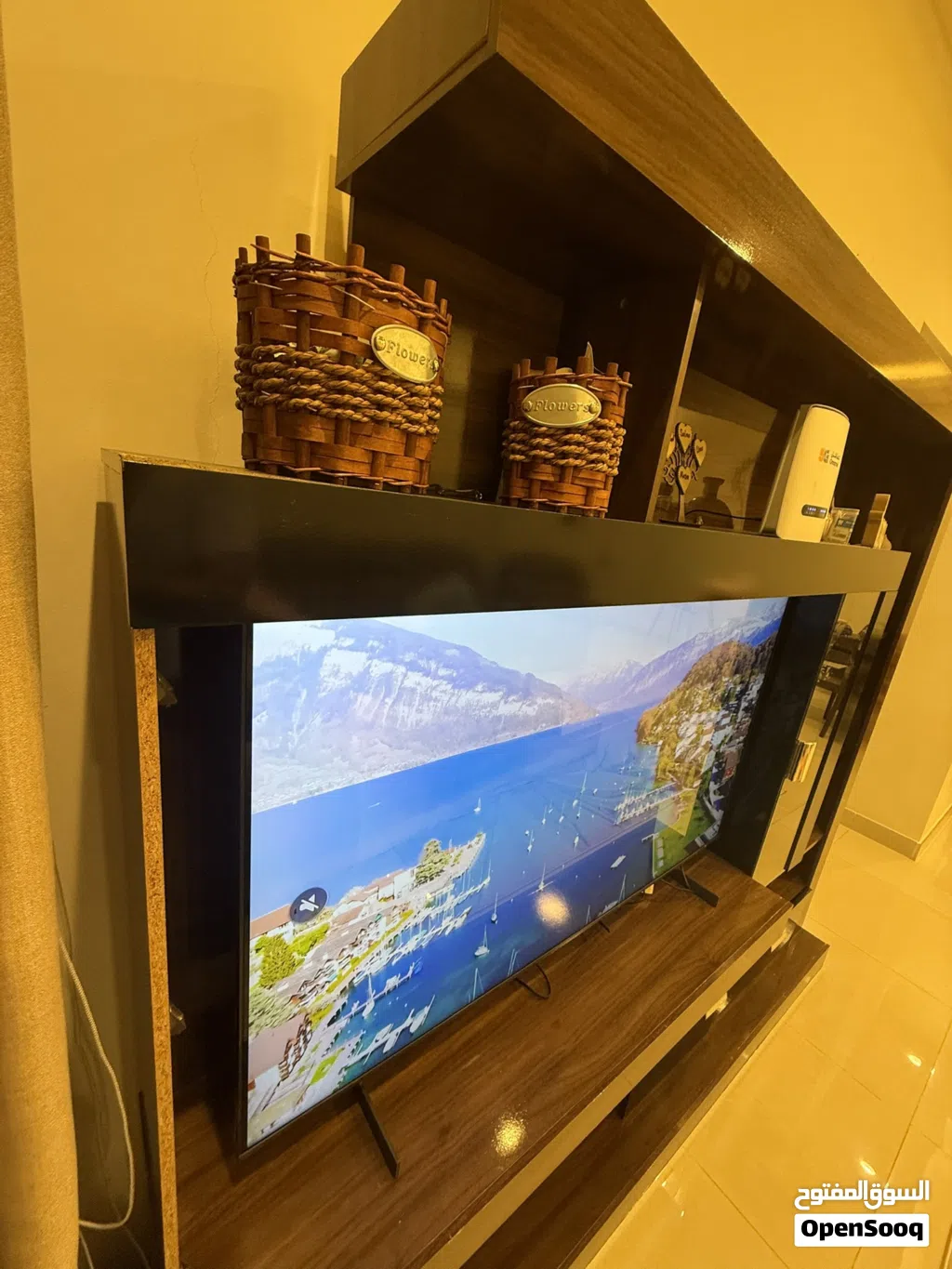 وحدة تلفاز