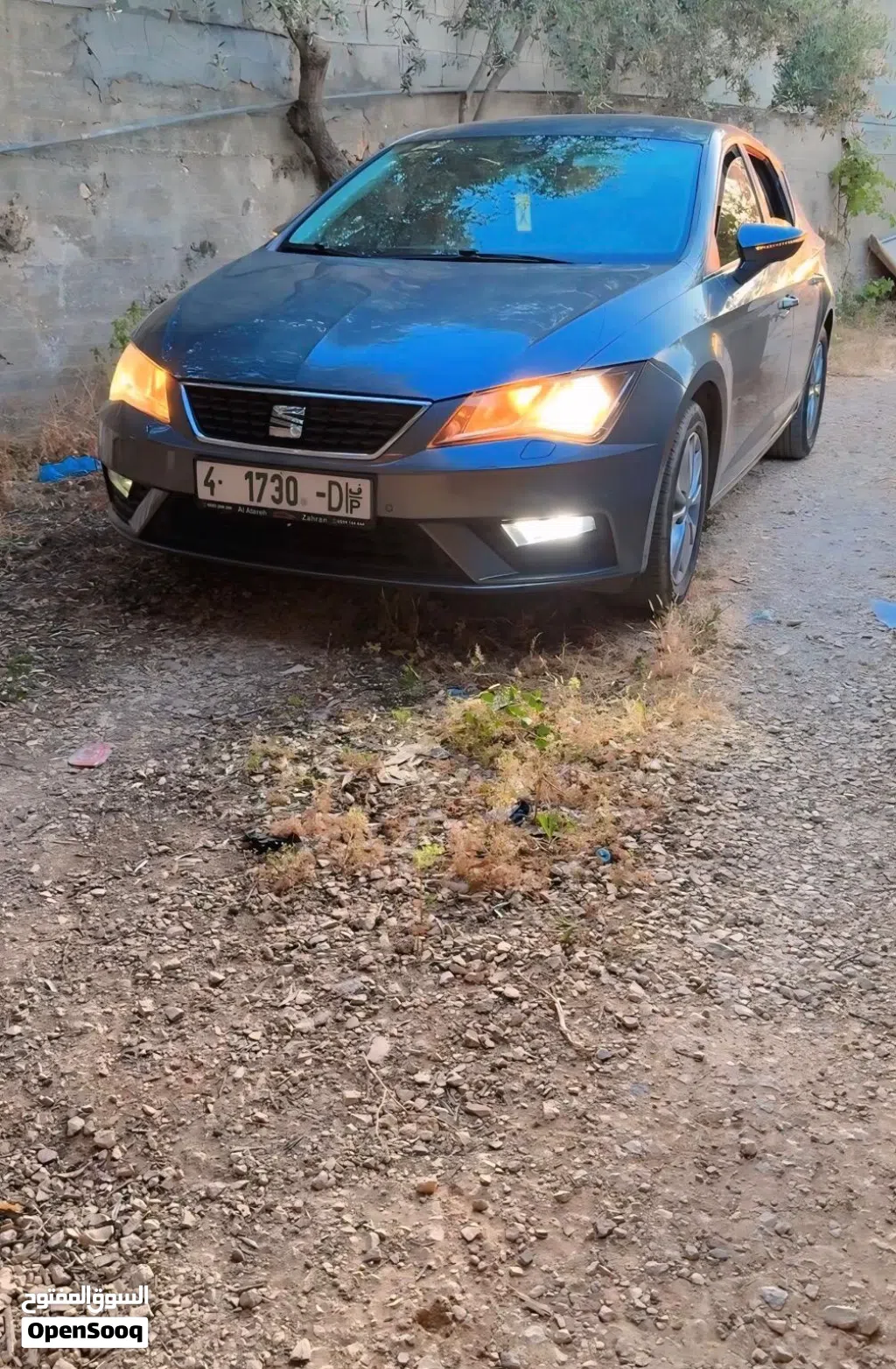 سيات ليون Standard