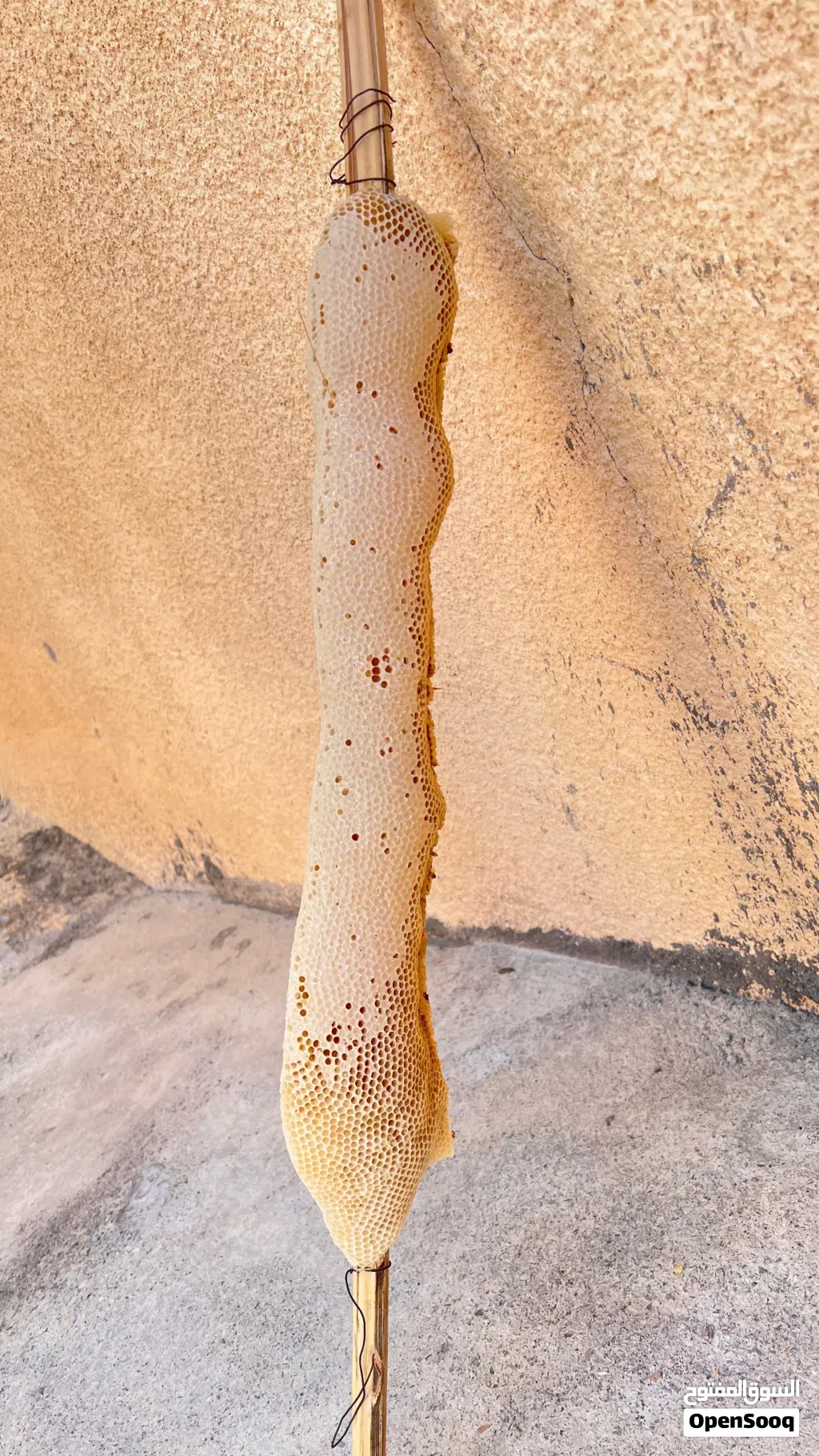 عسل سدر مع لعتم