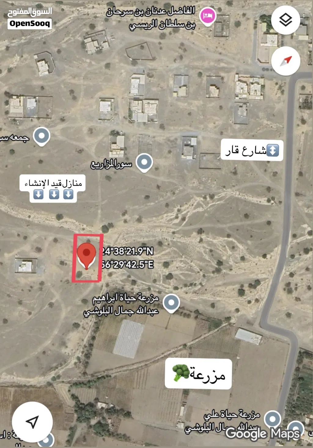 ارض سور المزاريع منطقة حيويه
