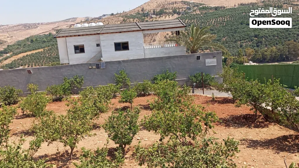 مزرعة الوها