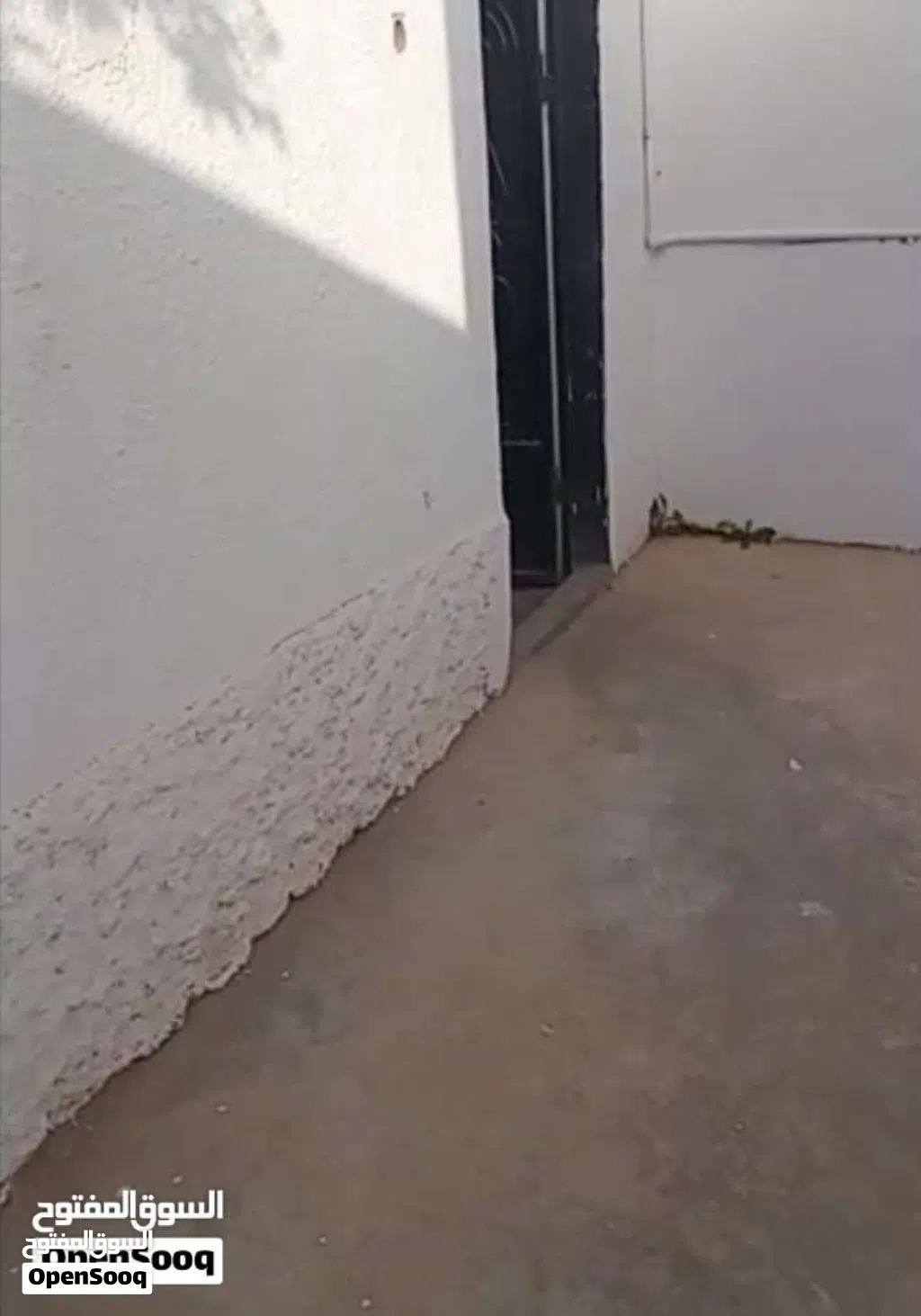 منزل عربى للايجار مطلوب عزابة