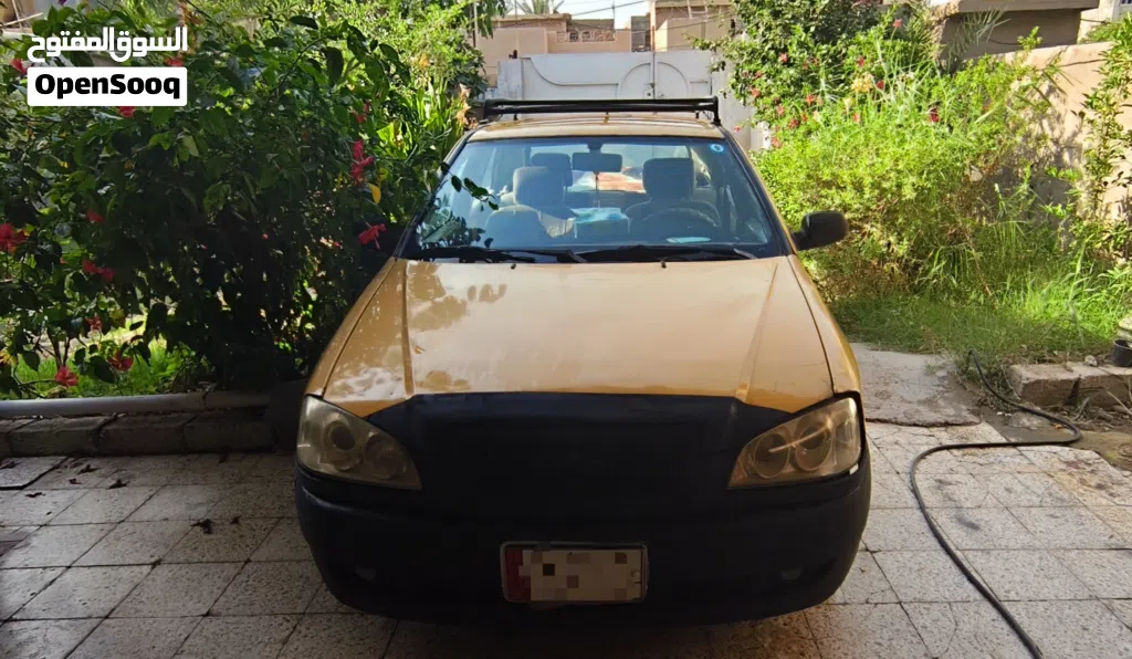 شيري كوين Standard