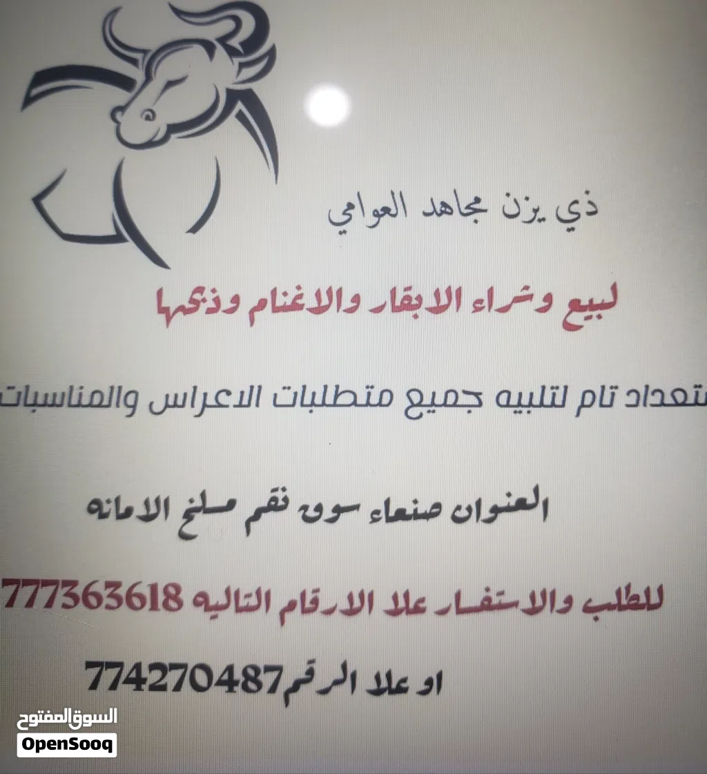 ذي يزن العوامي بيع وشراء ارخص الاغنام والأبقار