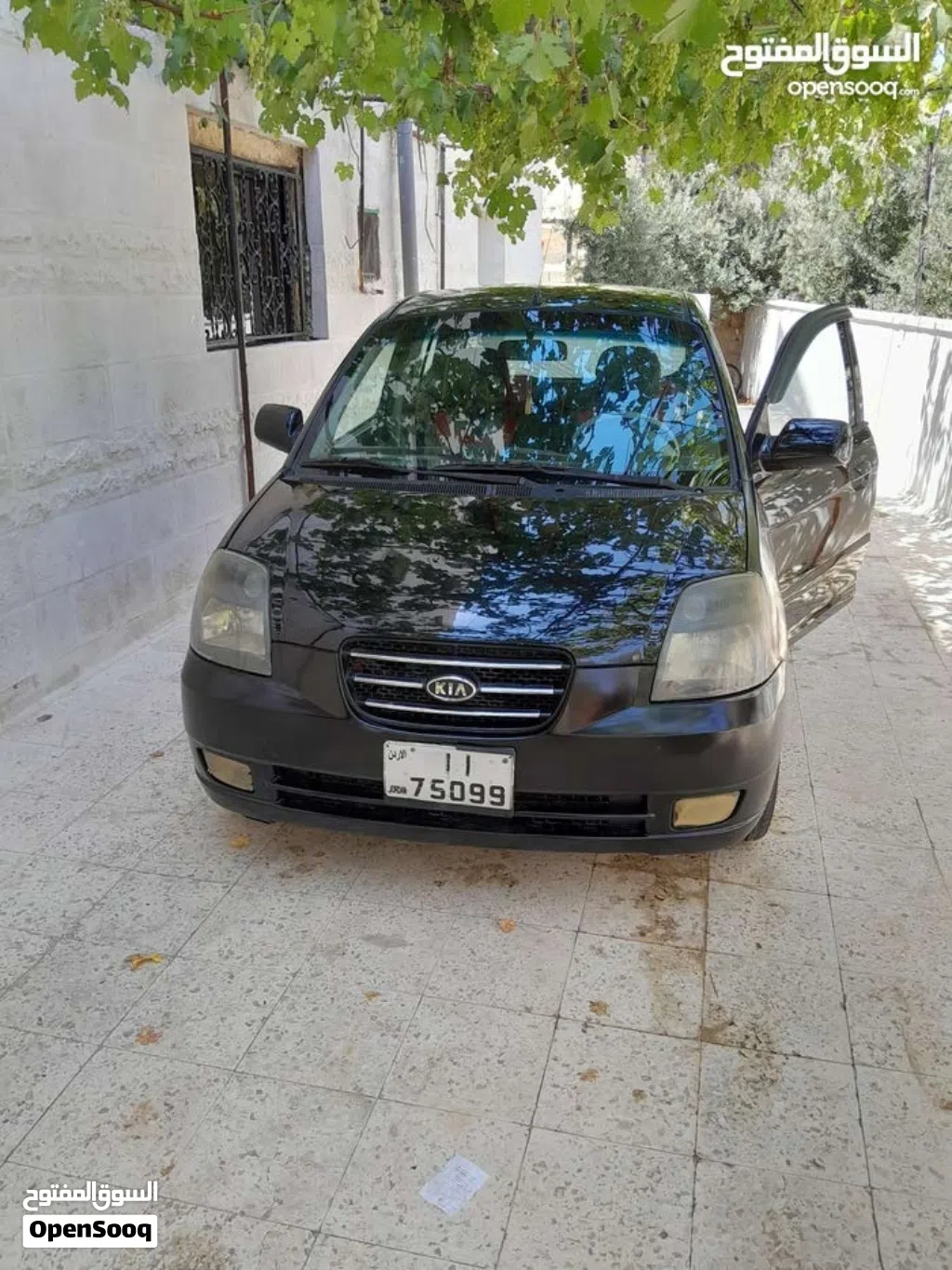 كيا بيكانتو LX