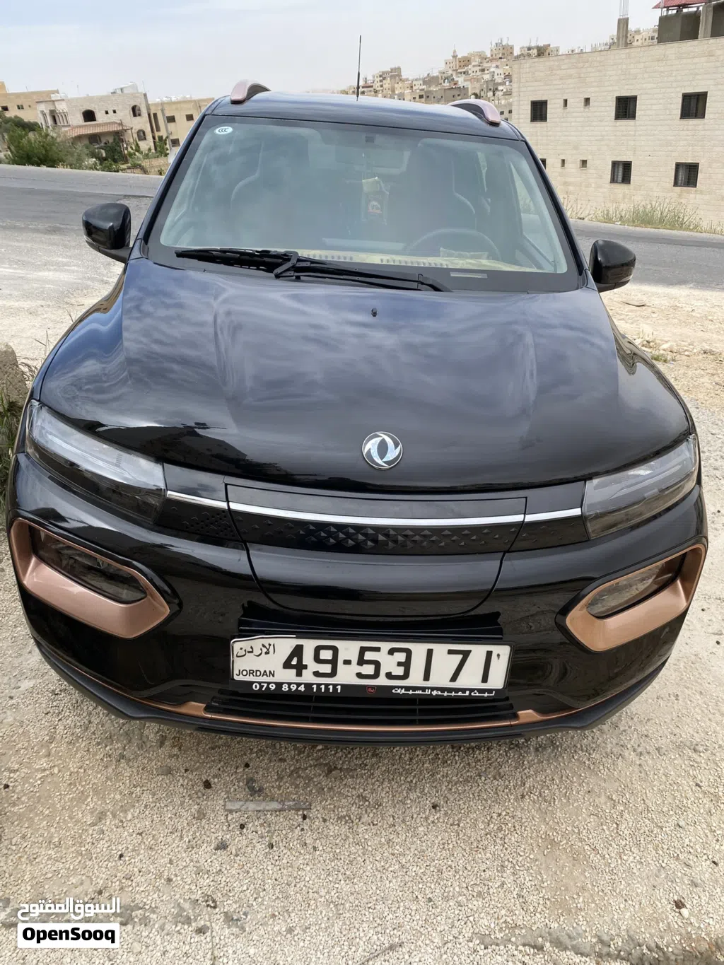 Dongfeng EX1