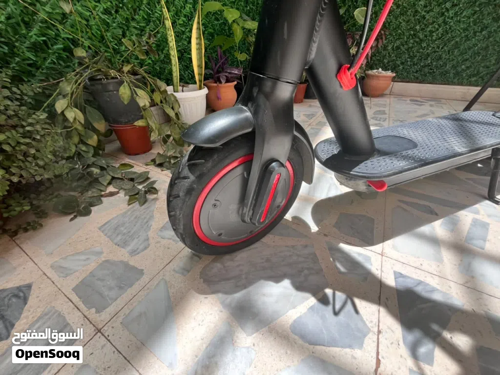سكوتر كهربائي سرعته 31