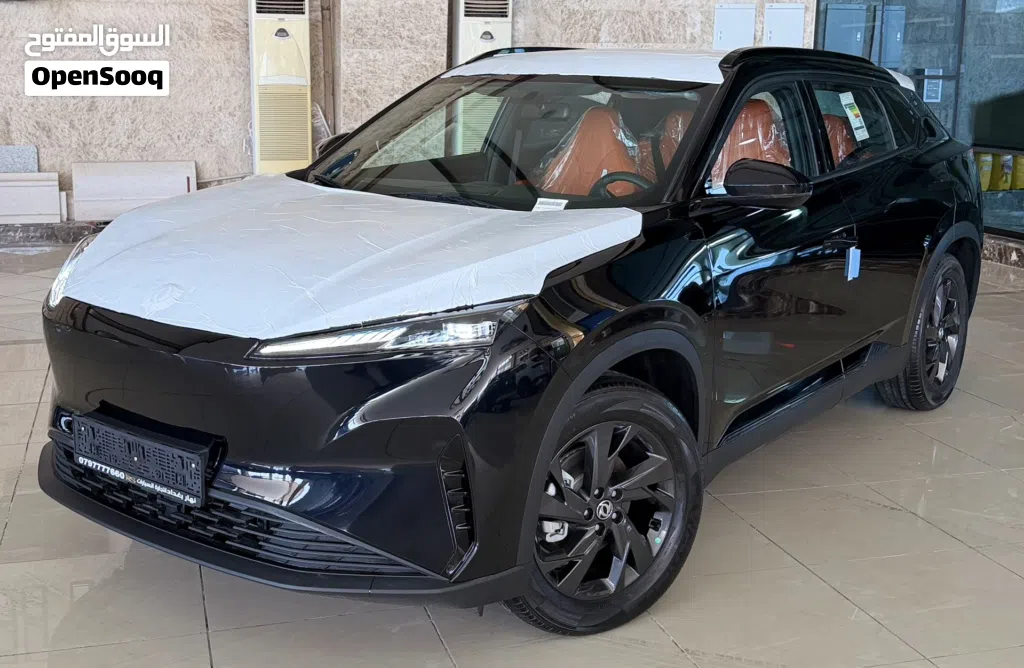 Dongfeng Mage EV