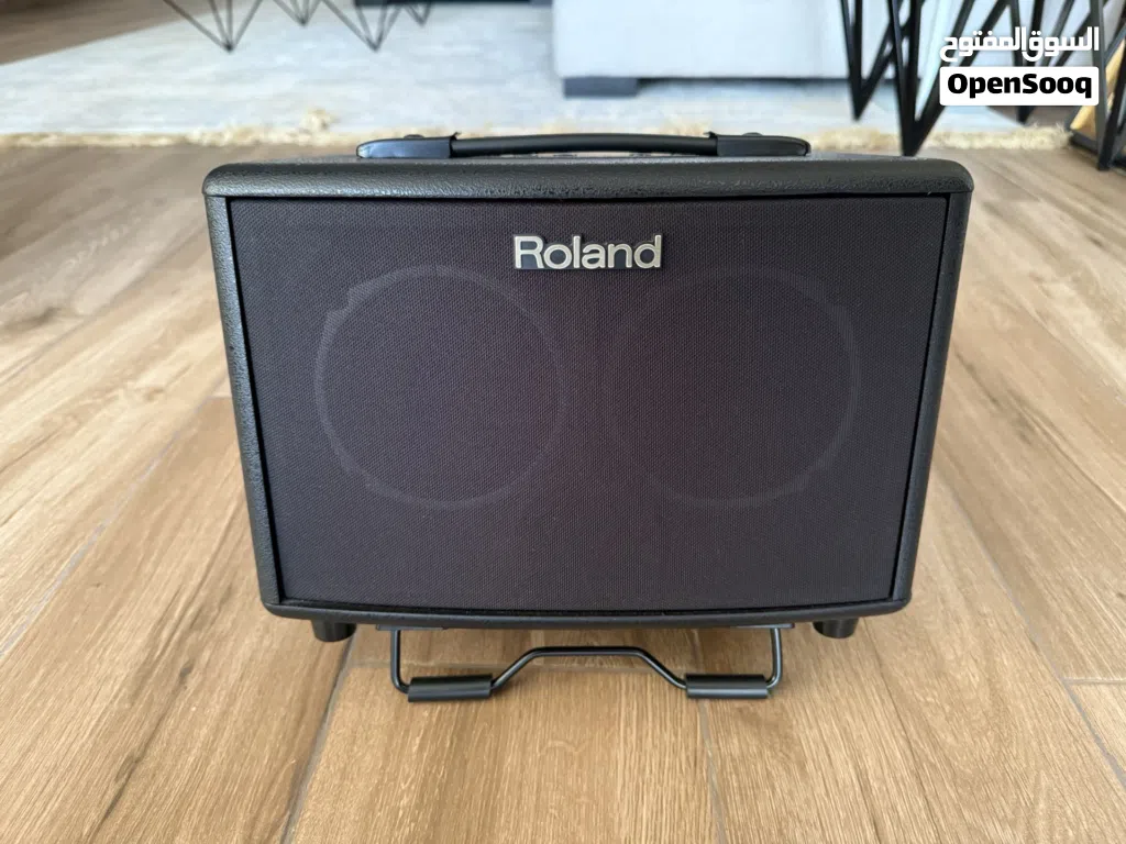Roland Acoustic guitar amp AC33
