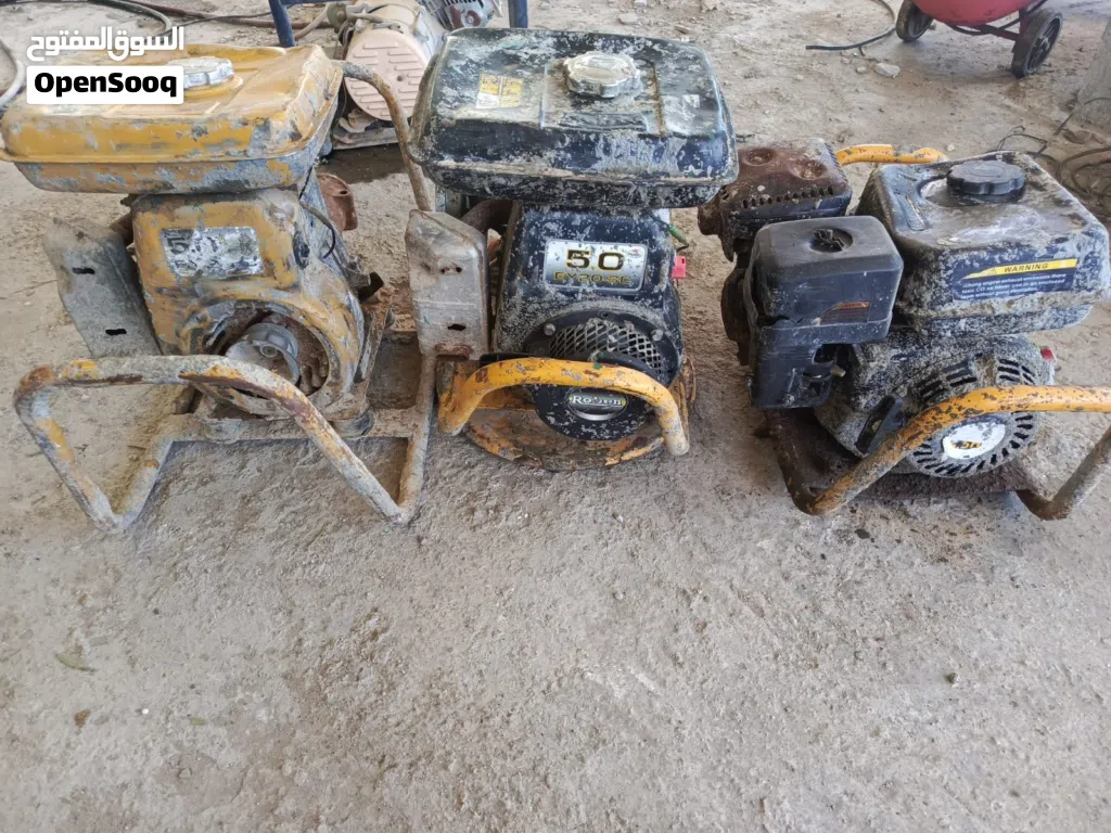 رجاج بطون شغال على فحص