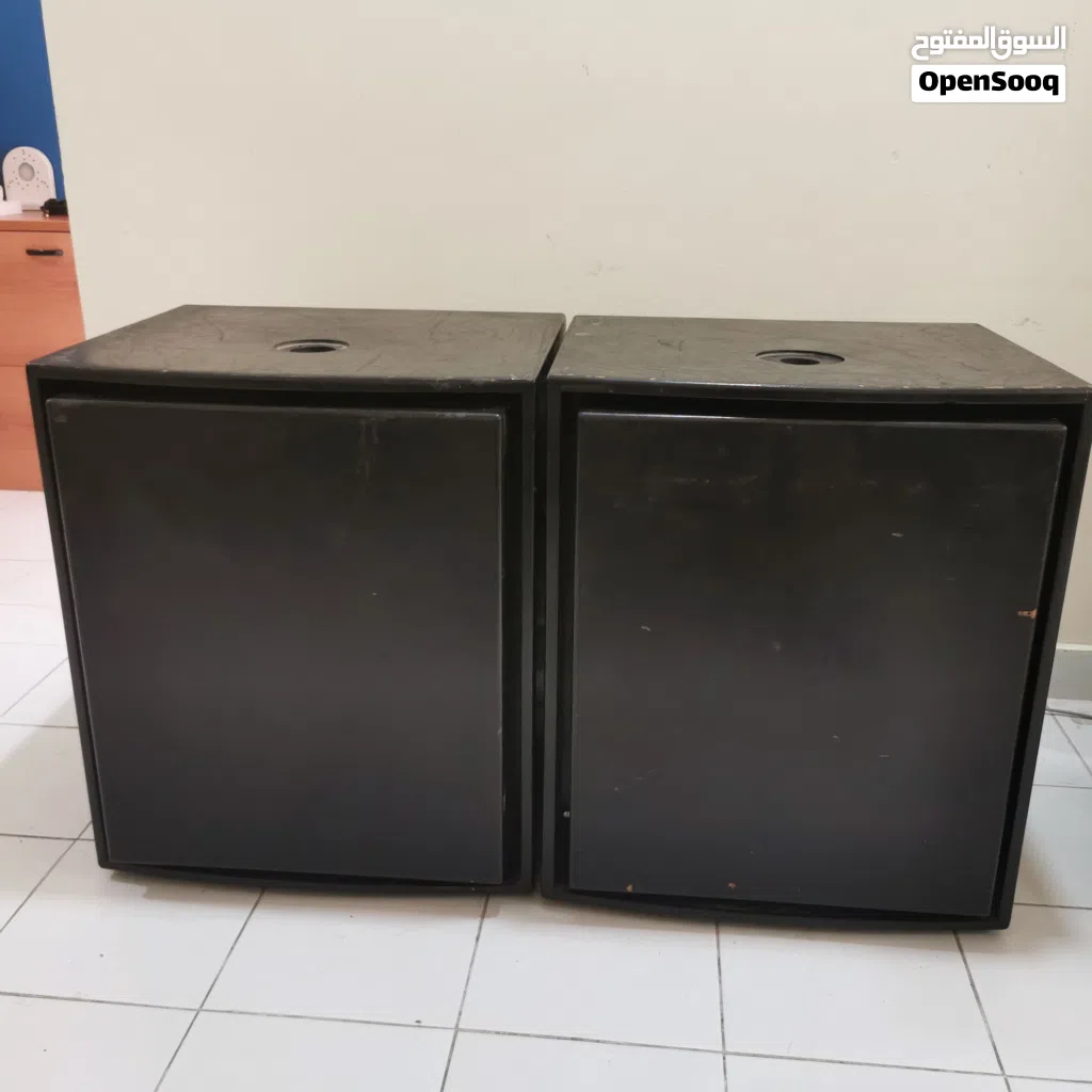 1000 watts Professional 18" Subwoofers