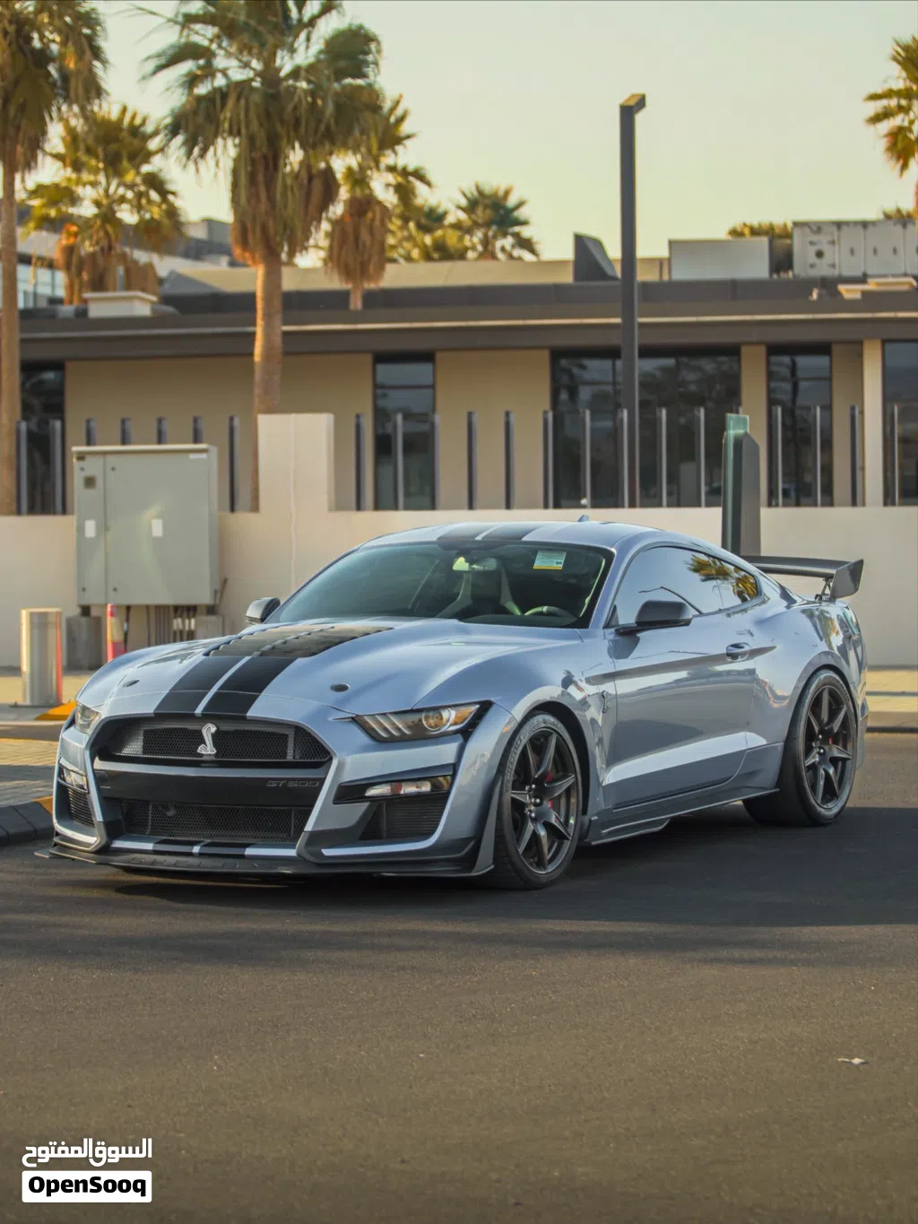 فورد موستانج Shelby GT500