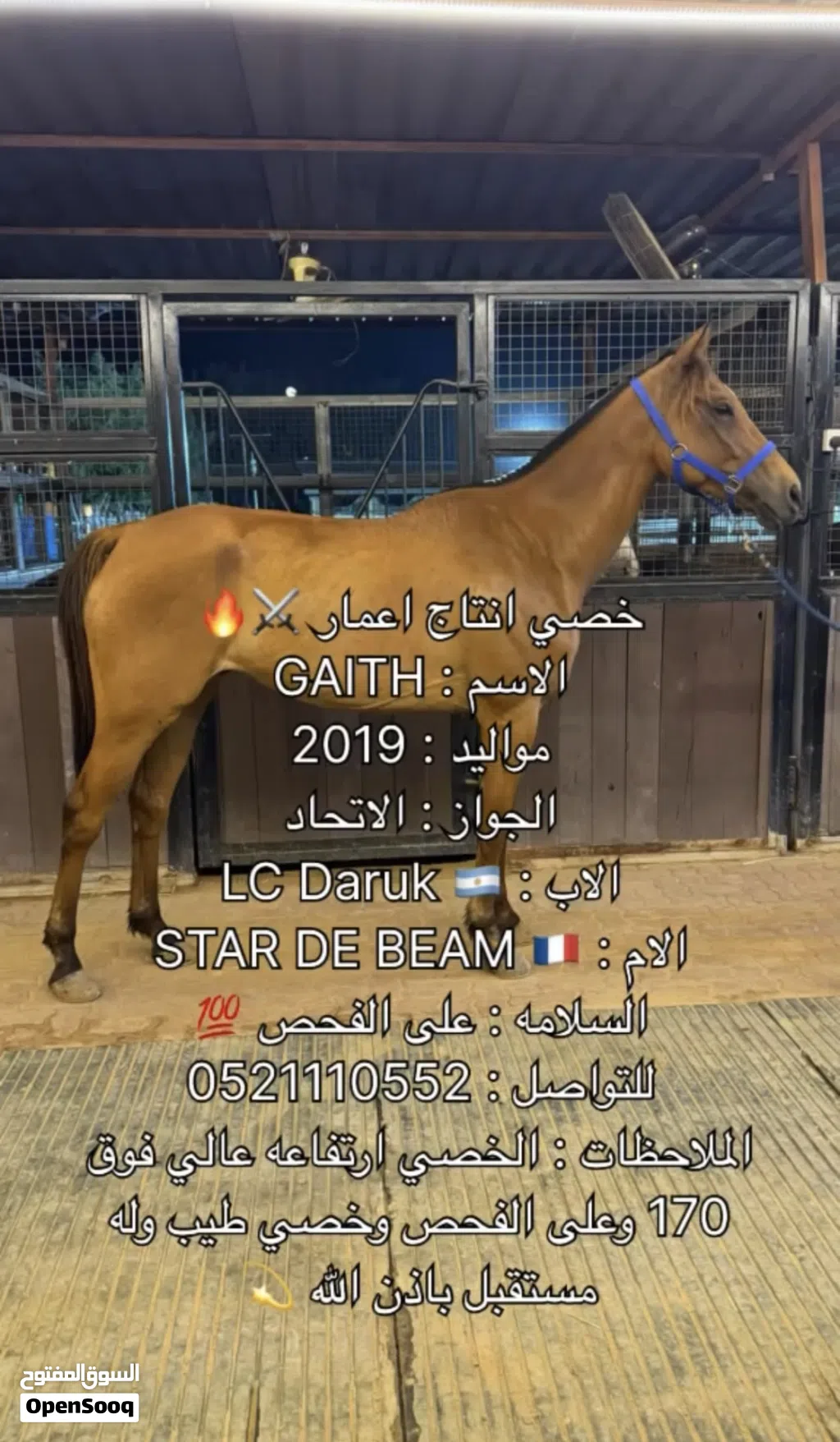 خصي انتاج اعمار