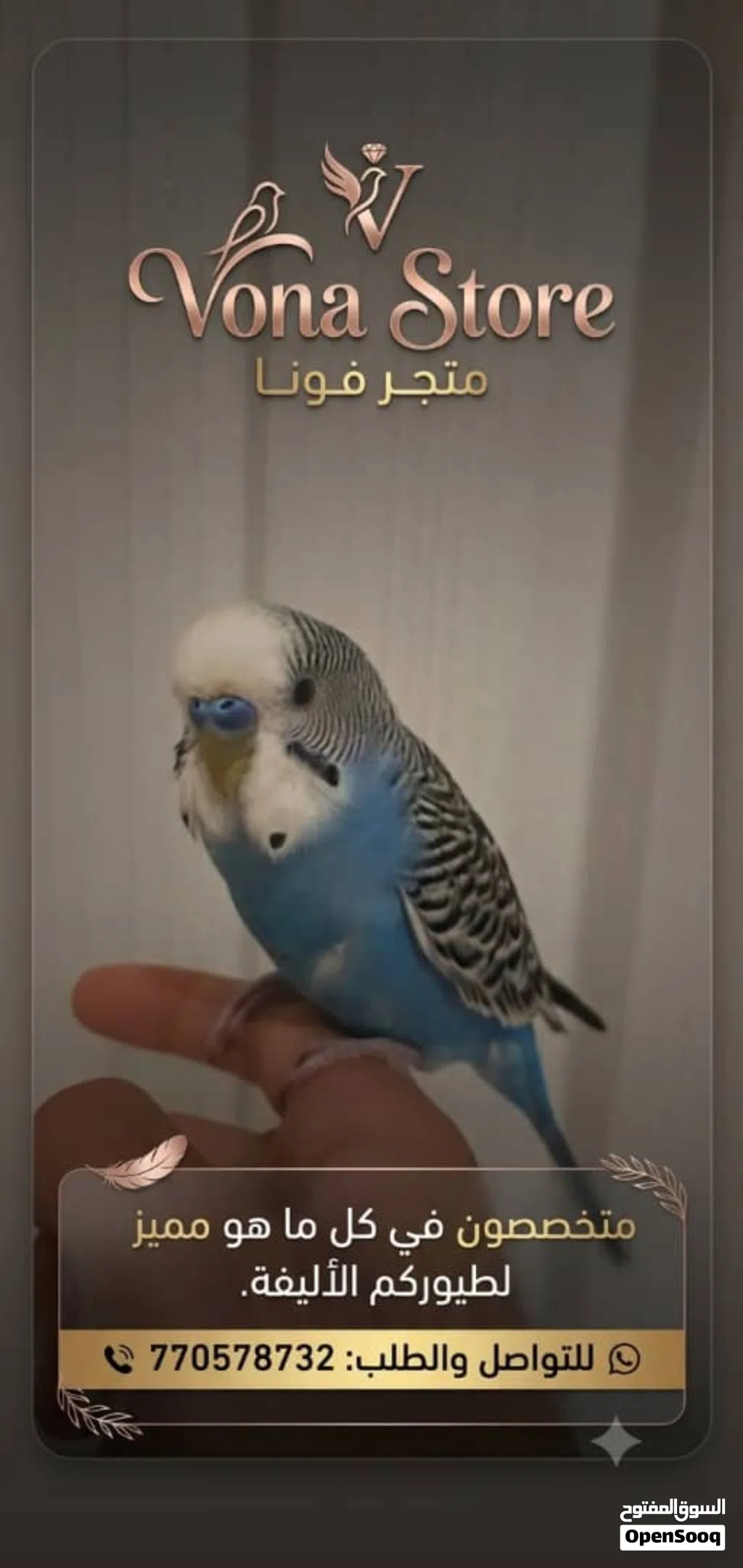 طير بادجي اليف