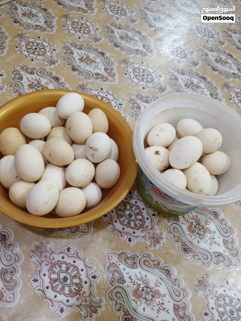 بيض دجاج كويتي