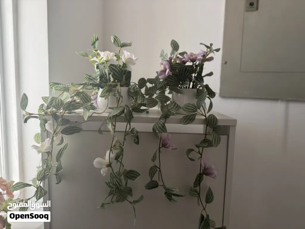 Decor and household essentials