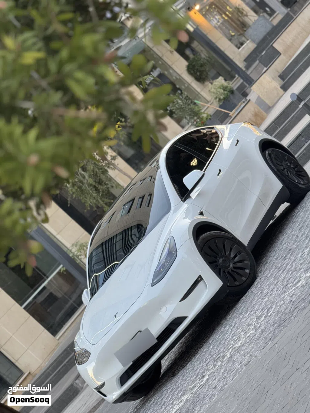 تيسلا موديل Y Standard Range