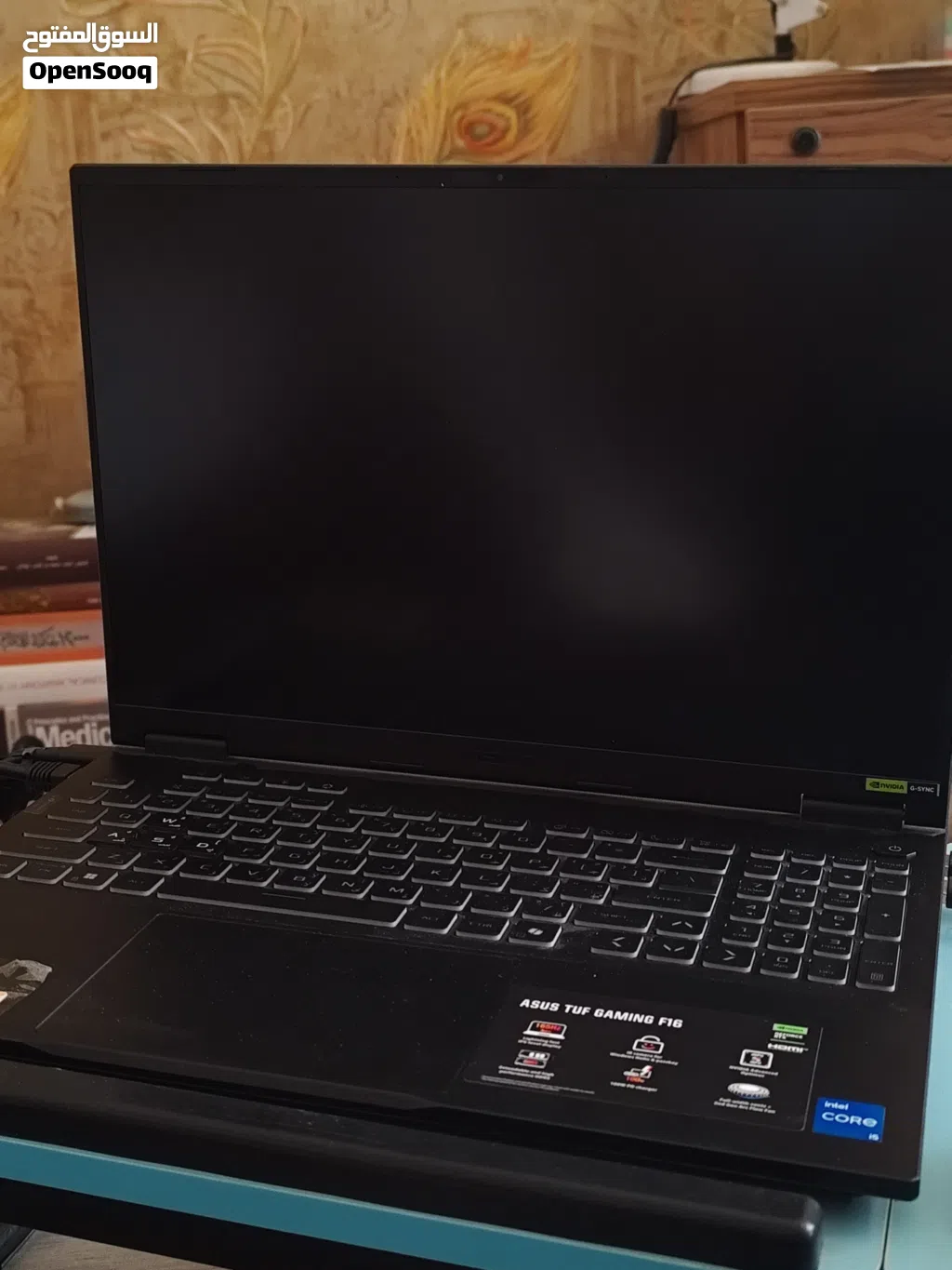 ASUS TUF F16 i5-13450HX-RTX 5060