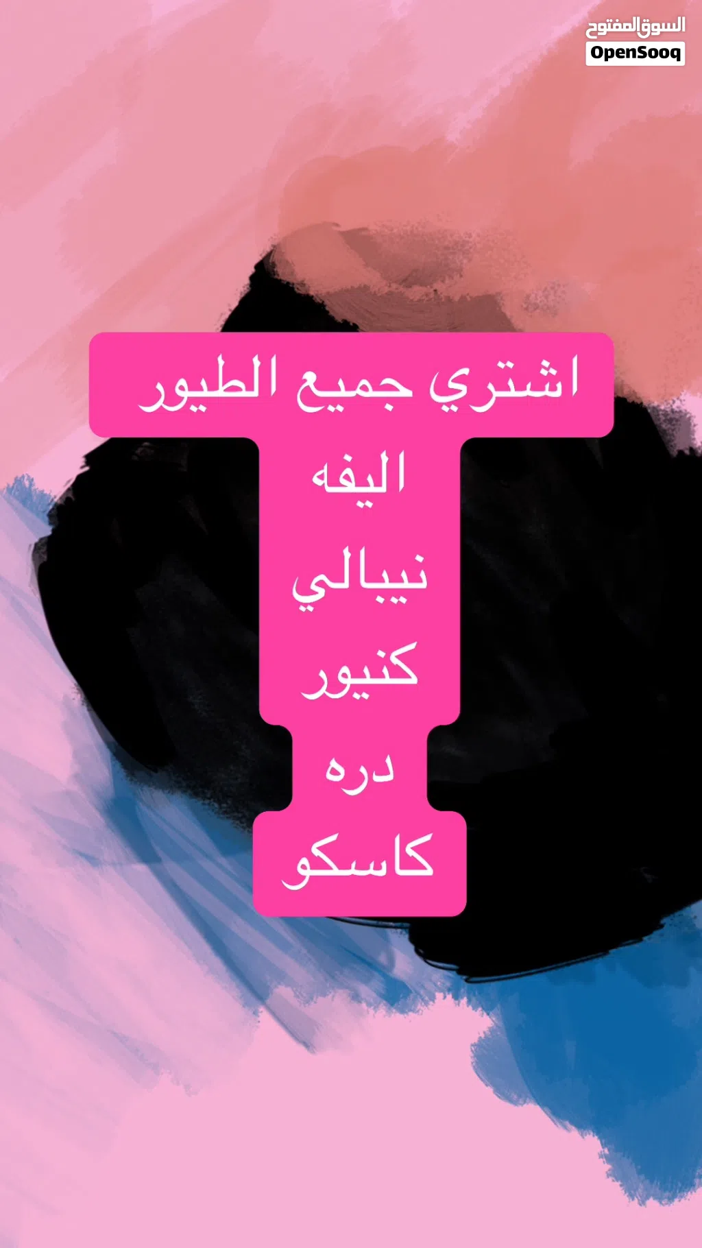اشتري جميع الطيور المتكلمه الاليفه كاسكو دره كنيور