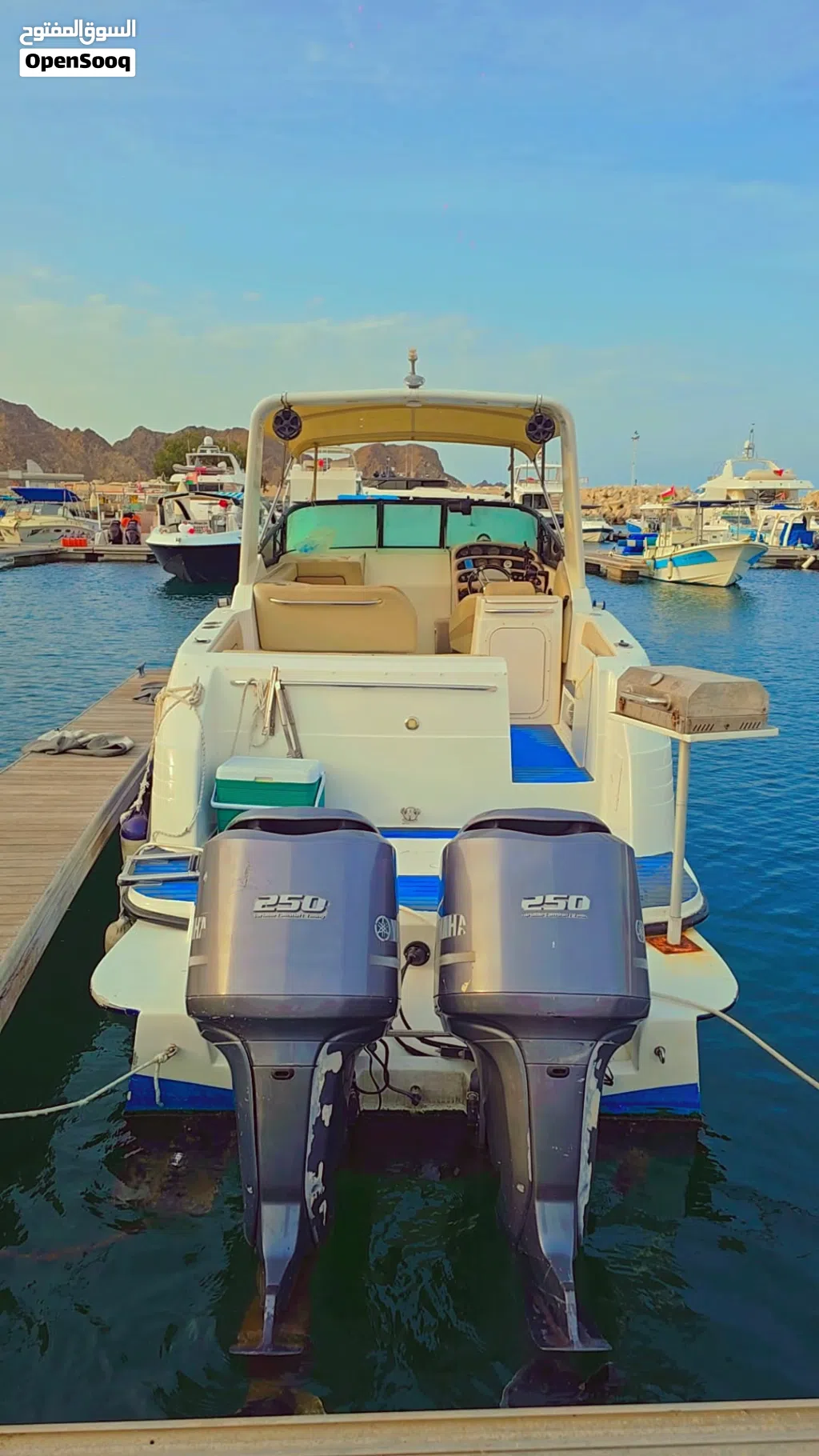 Mini yacht for sale