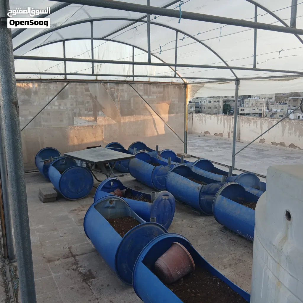 بيت بلاستيك