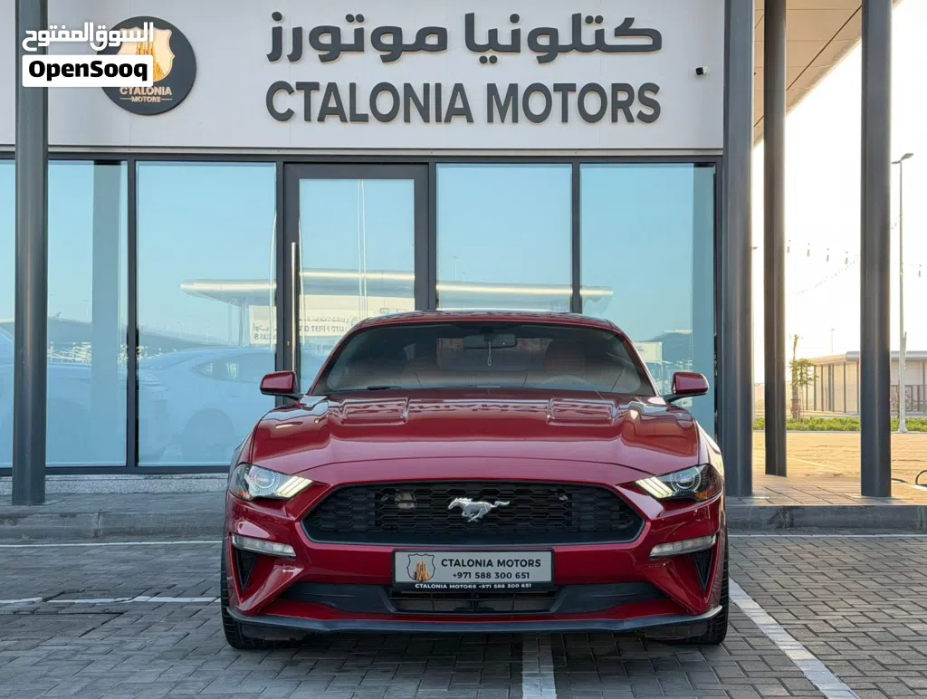Ford Mustang Standard