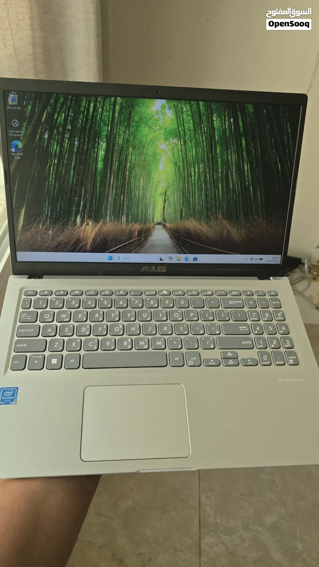 Asus Laptop X515MA