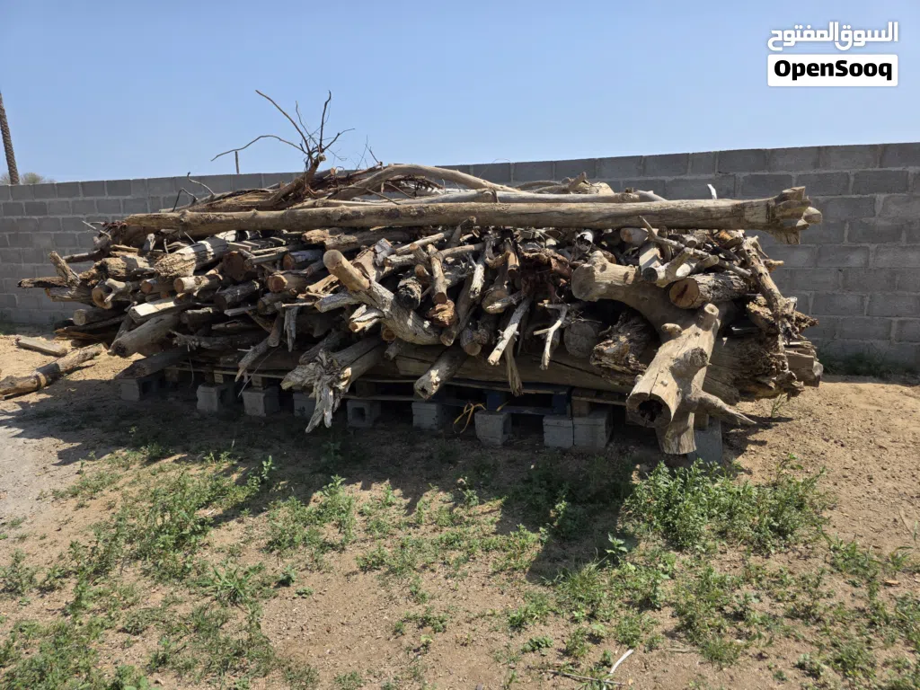 للبيع حطب اشجار متنوعه وصلبة