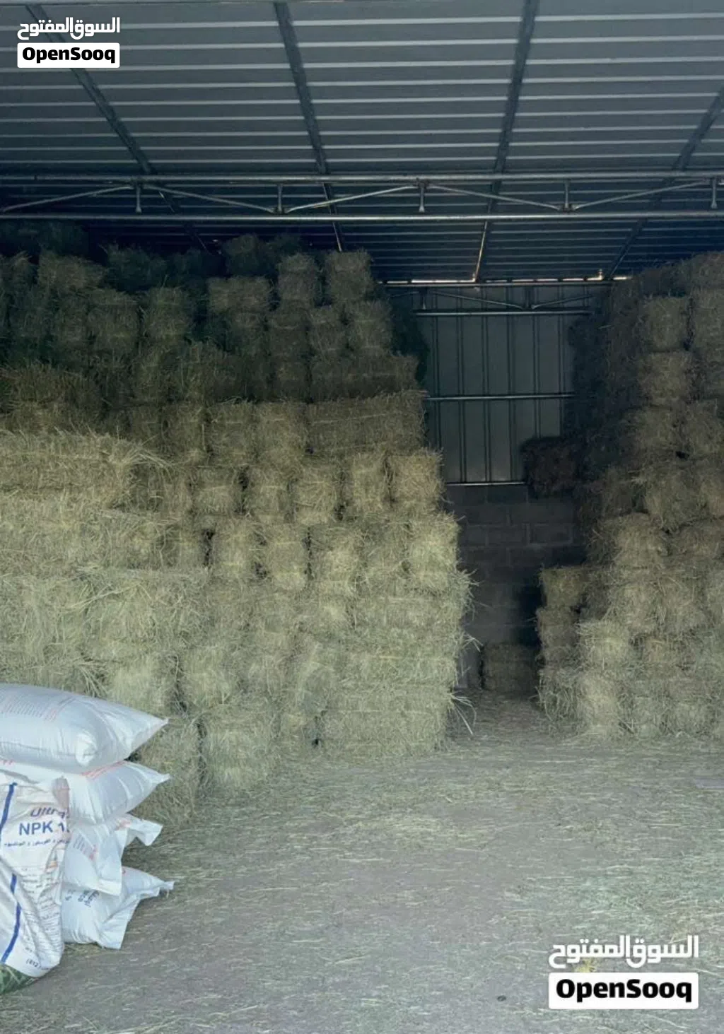 حشيش برايد (بركاء - السوادي جنوب)