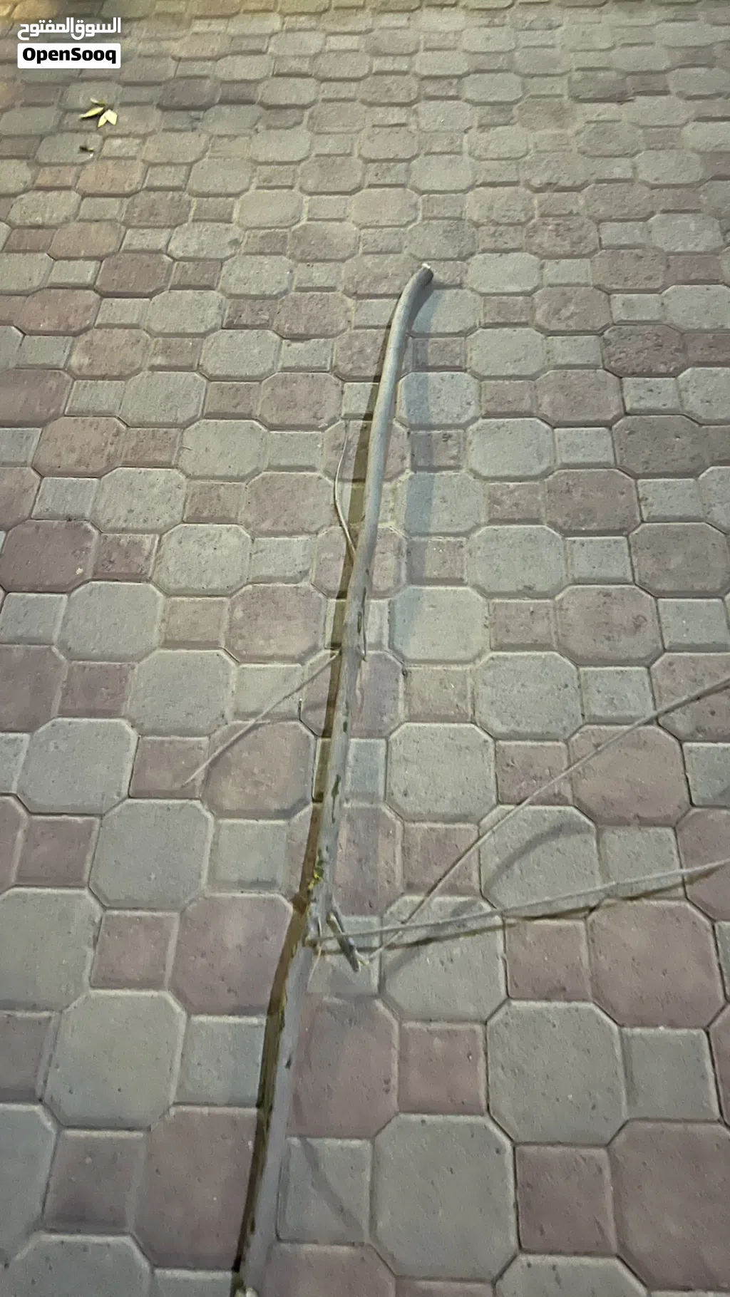 عصى عتم عمان