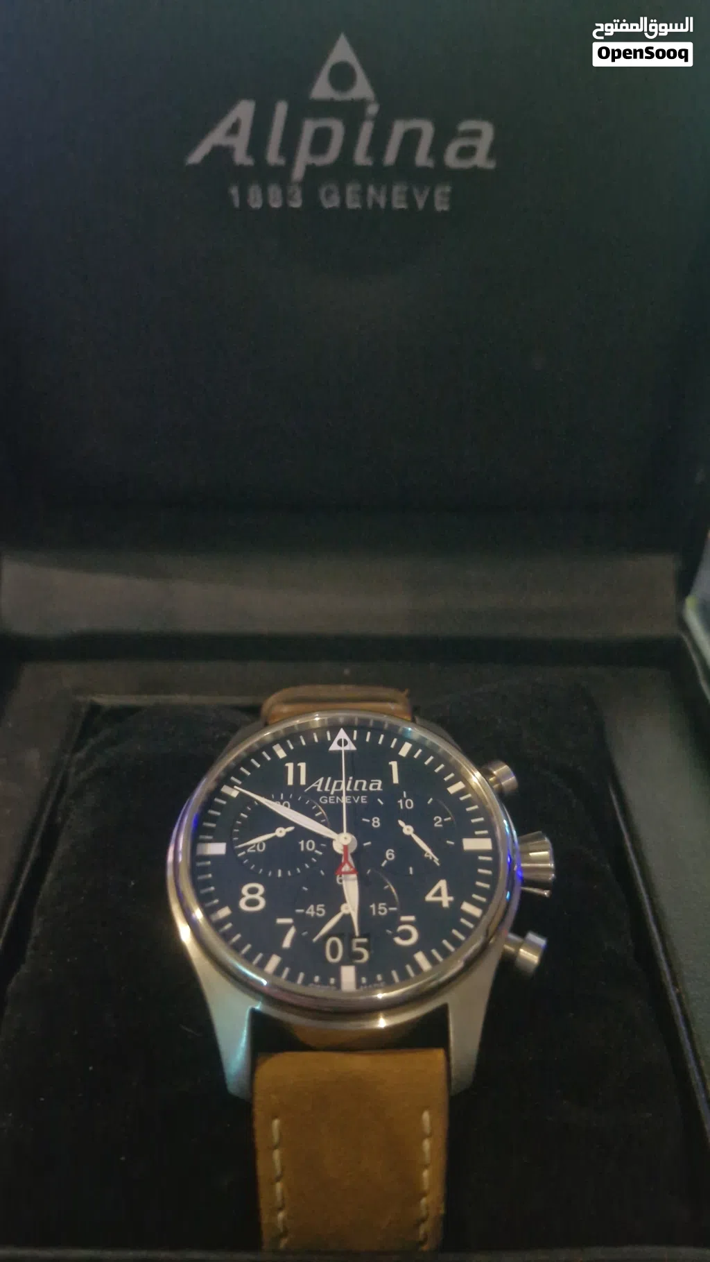 ALPINA Startimer pilot