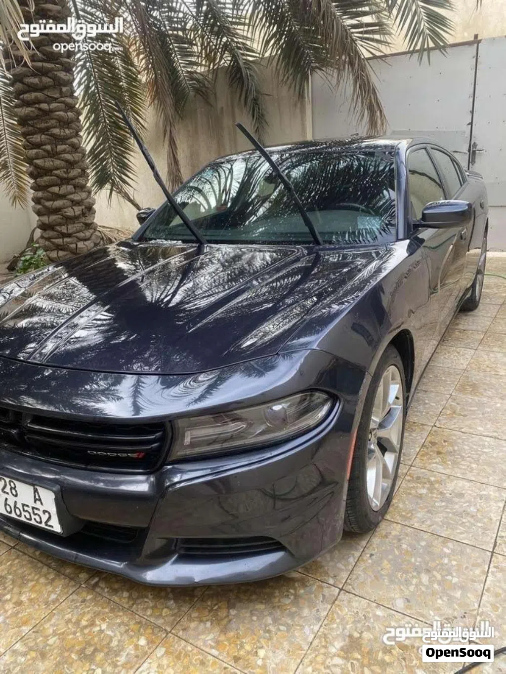 Dodge Charger SXT