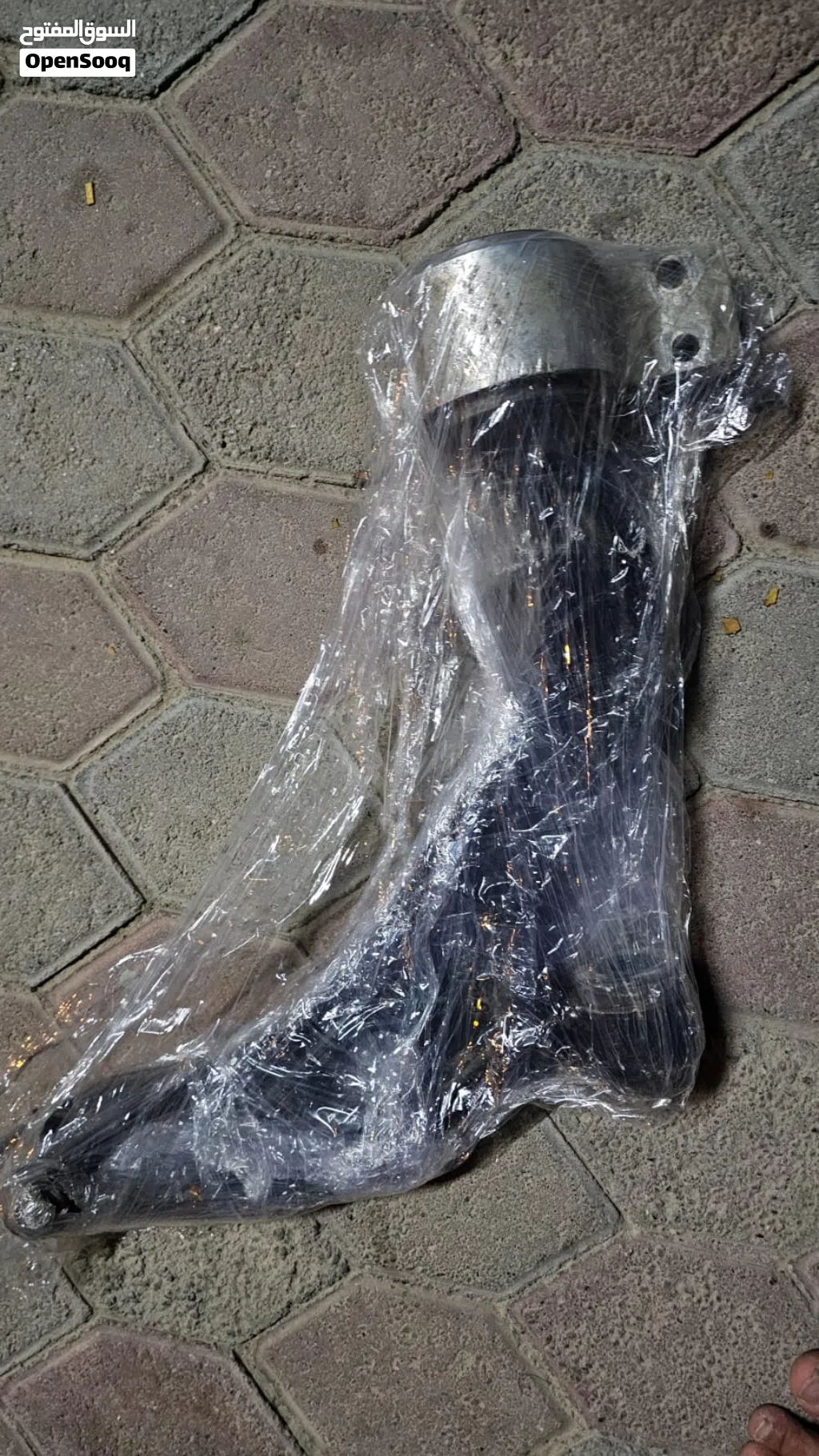توريس 2018