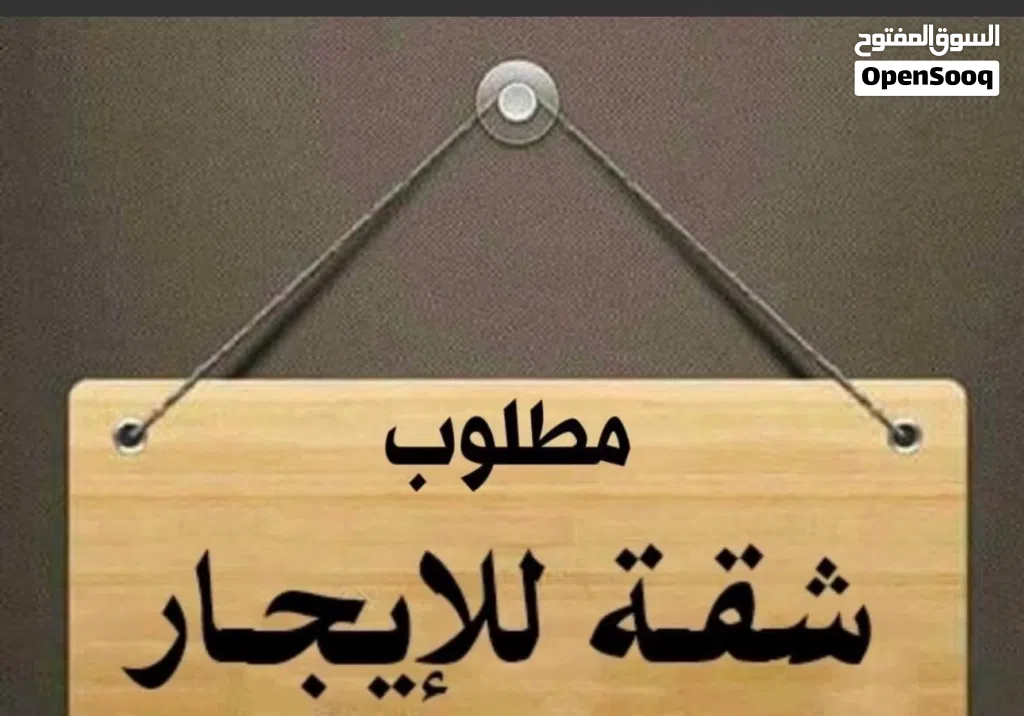 مطلوب شقة للإيجار